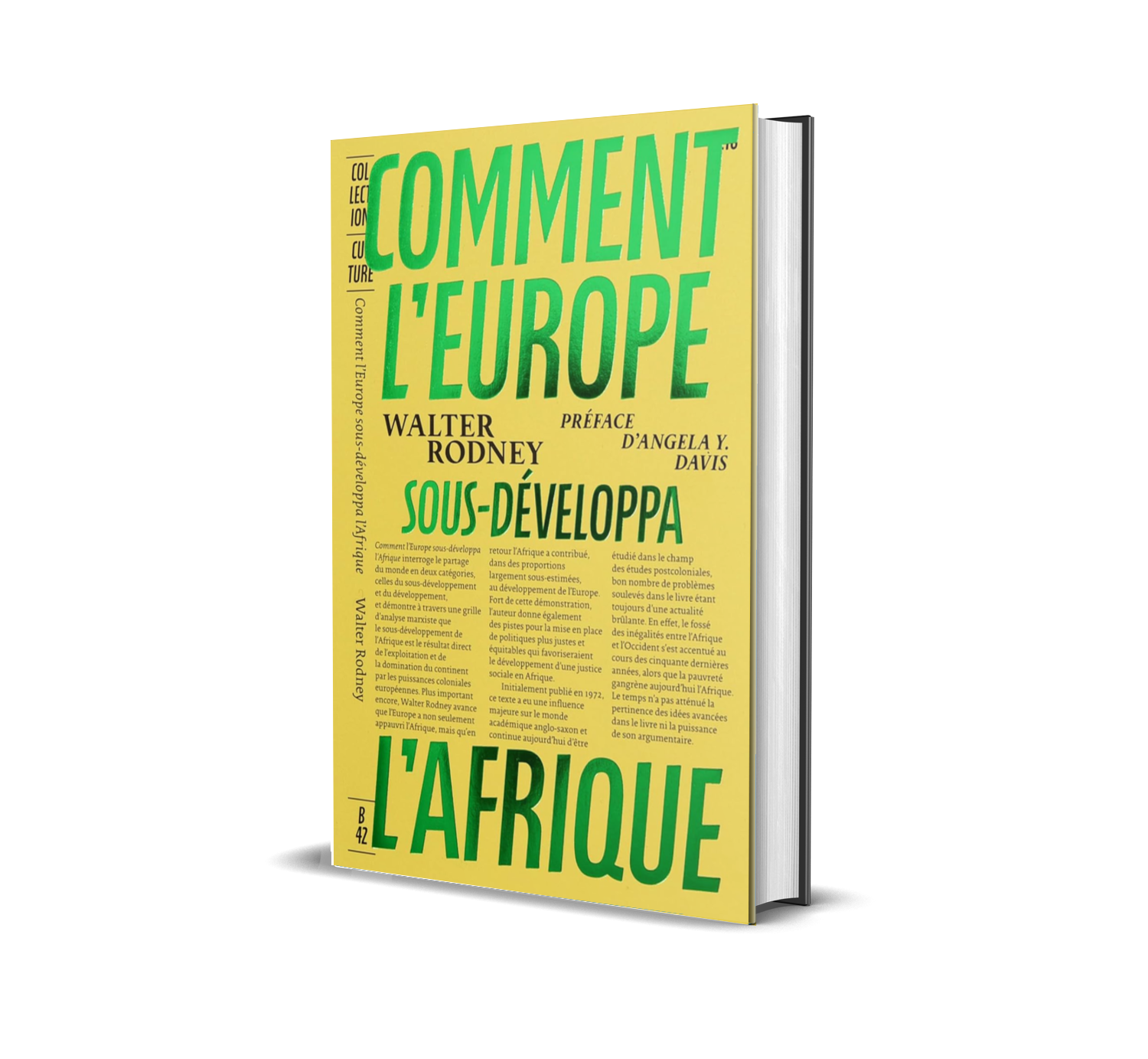 Comment l’Europe sous-développa l’Afrique (How Europe Underdeveloped Africa) - Image 3